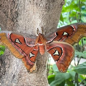 Meet your Posher, Daisy